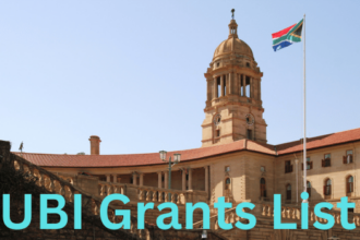 UBI Grants List
